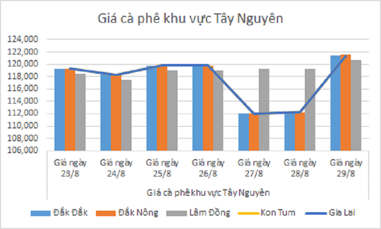 Bieu do gia ca phe ngay 29.8.2024_1724901249.png